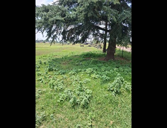 LAND FOR SALE IN SUNDRA AH